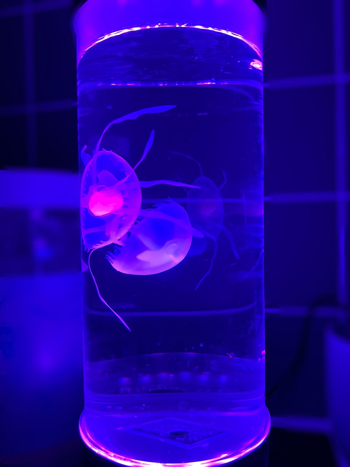 Jelly Fish Lamp Mood Changing Colour Sensory Life Like Lamp